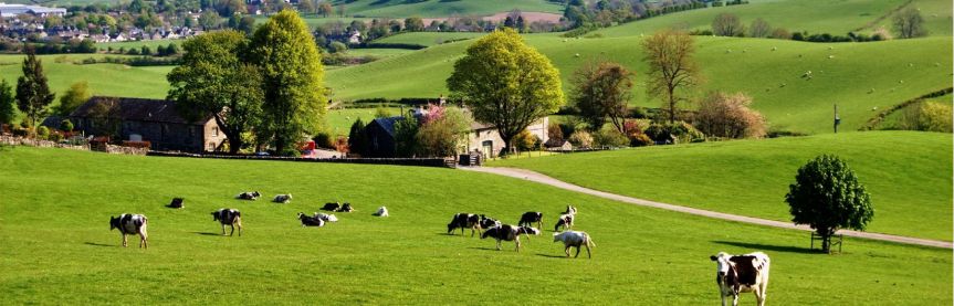 Fall on the farm in the&nbsp;70s