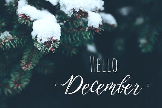Hello December