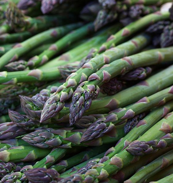 Asparagus