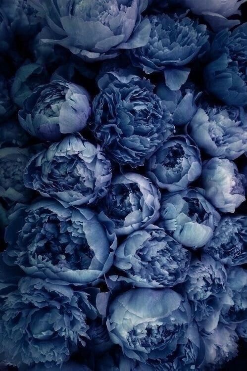 Turning 60, things I would tell my younger&nbsp;self