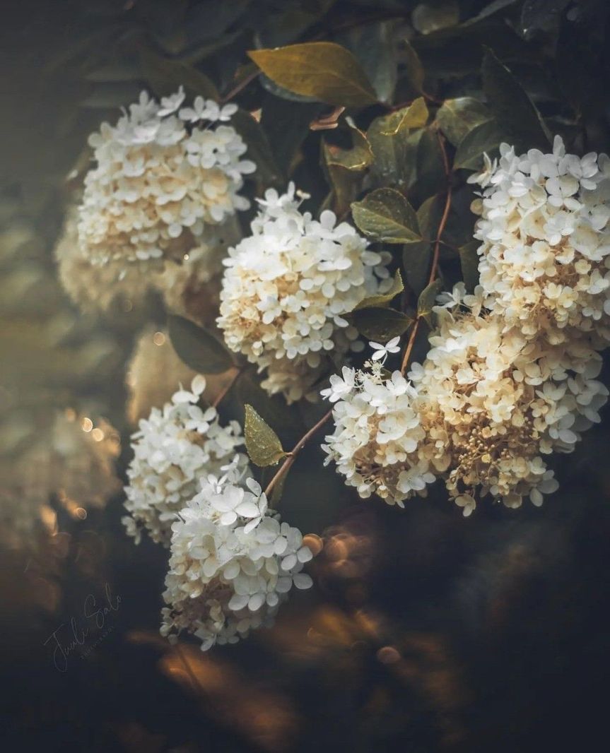 Understanding Perimenopause: My Personal&nbsp;Journey